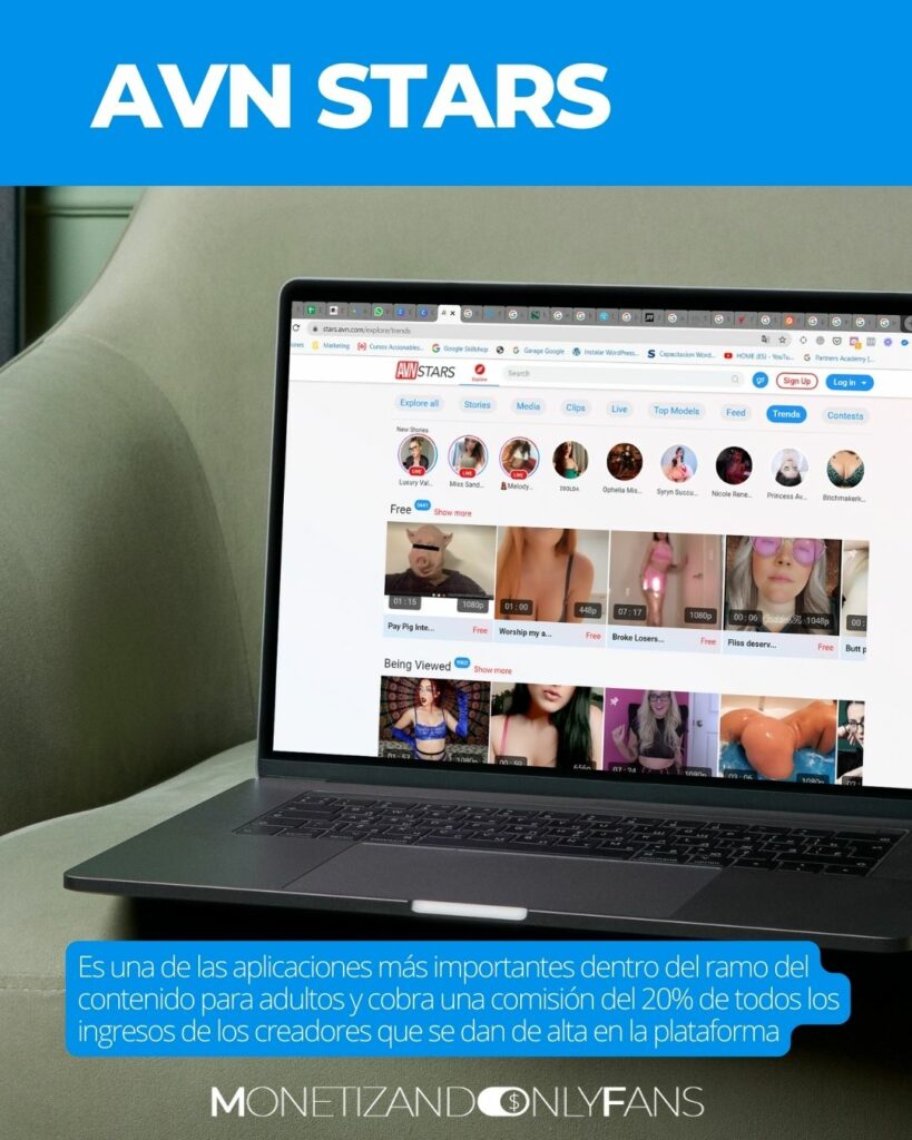 alternativas onlyfans AVN stars