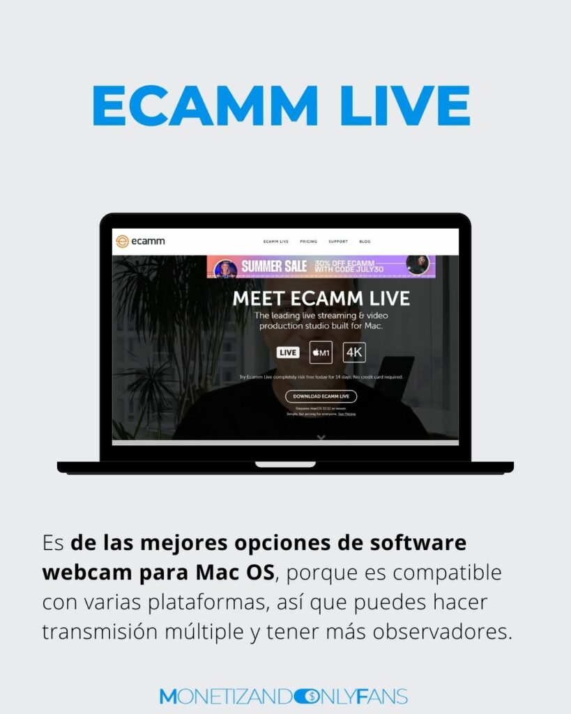 programa para web cam